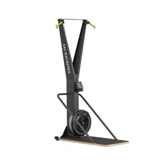 Лыжный тренажер Gym Wind Resistance Concept2